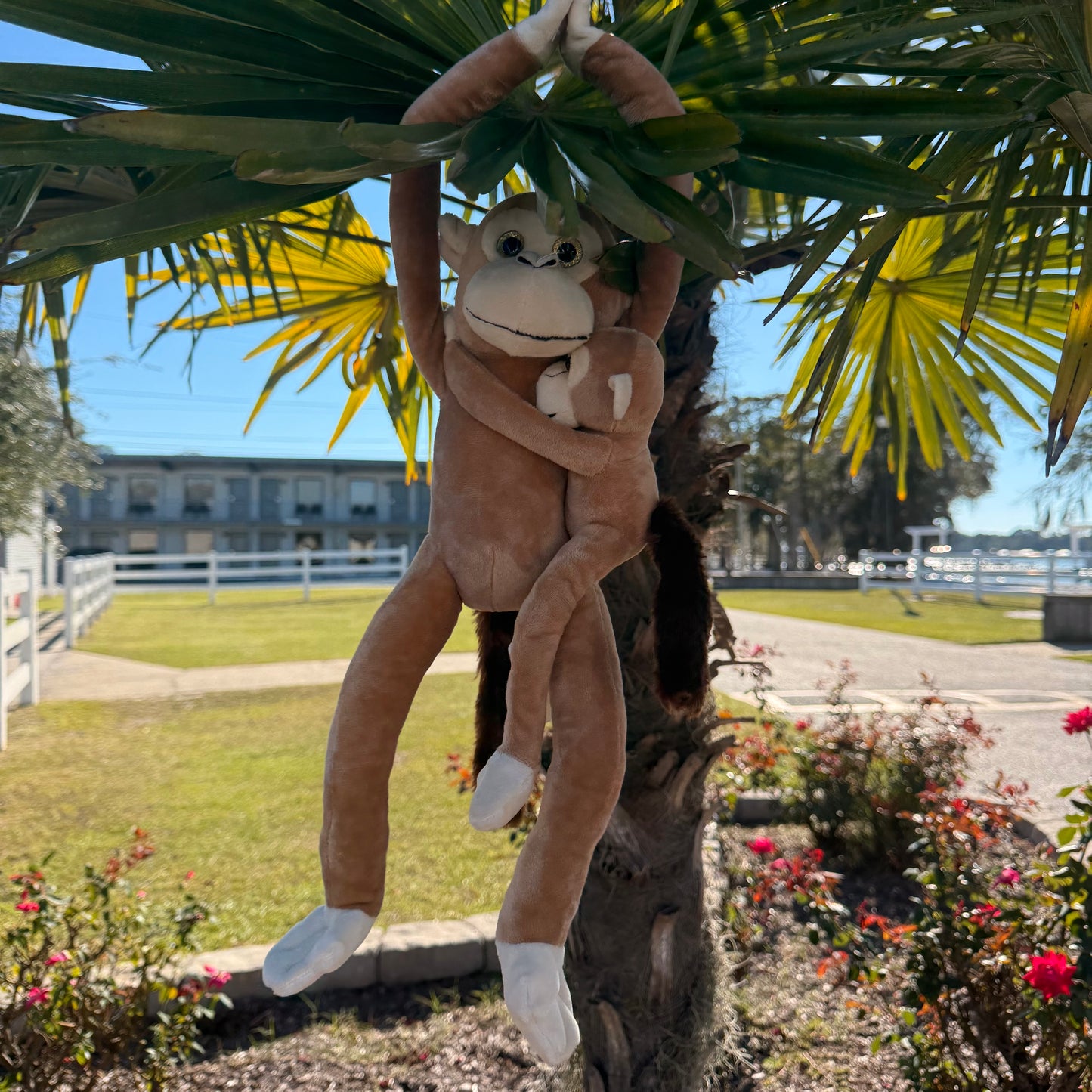 Monkey w/baby Hanging Plushie
