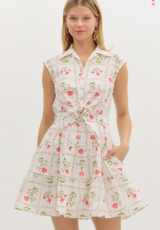 Collared Floral Minidress